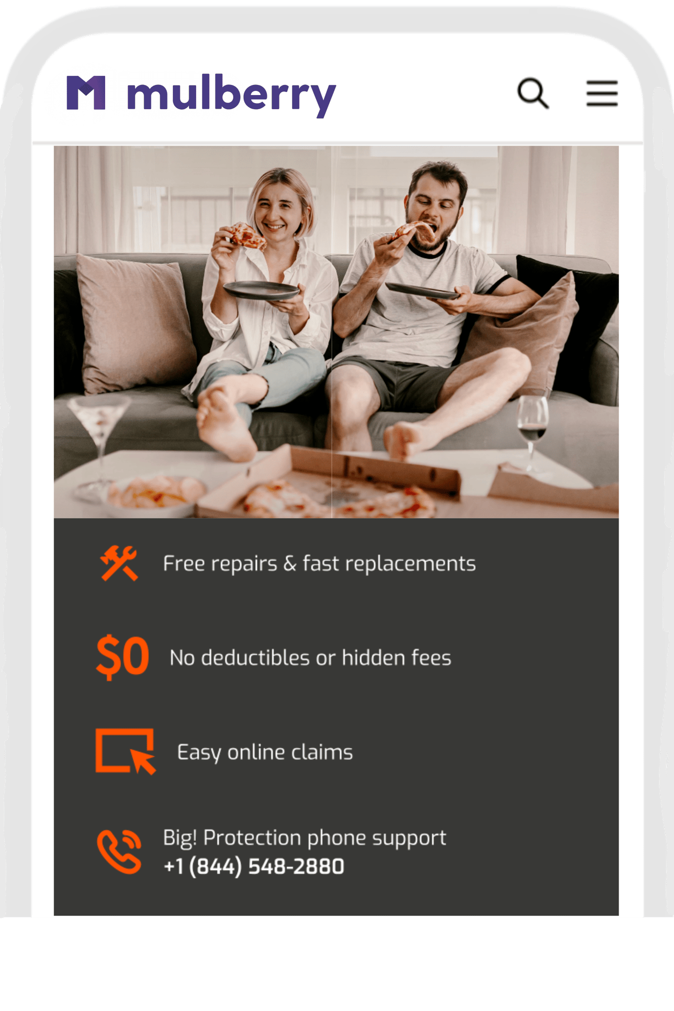 Protect your purchase at BigLots! with the Big Protection Plan