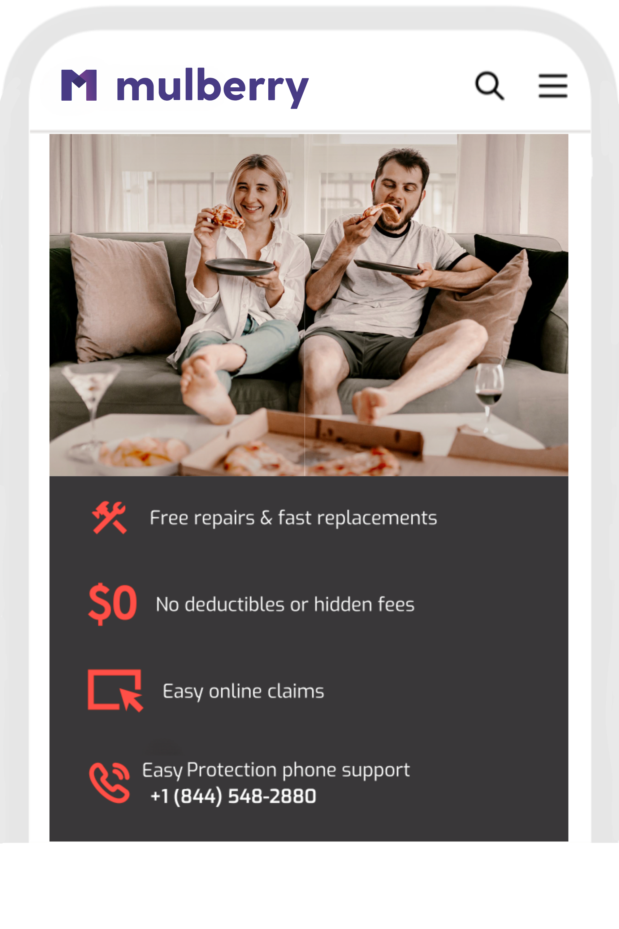 Easy Protection Plan powered by Mulberry