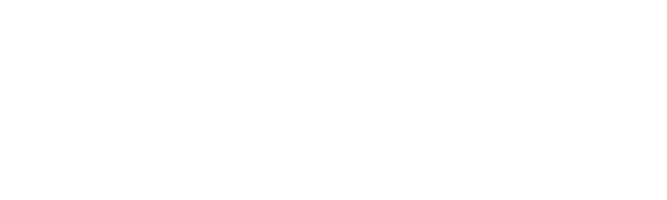 Valliani logo white